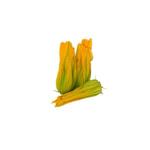 Flor de Calabacín