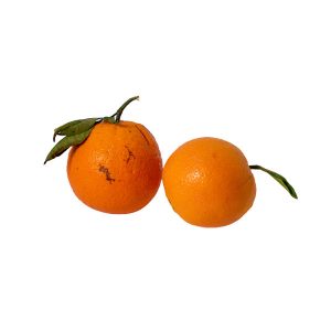 Naranja de Campo