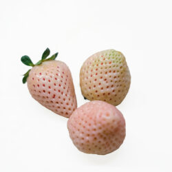 Fresón Piña