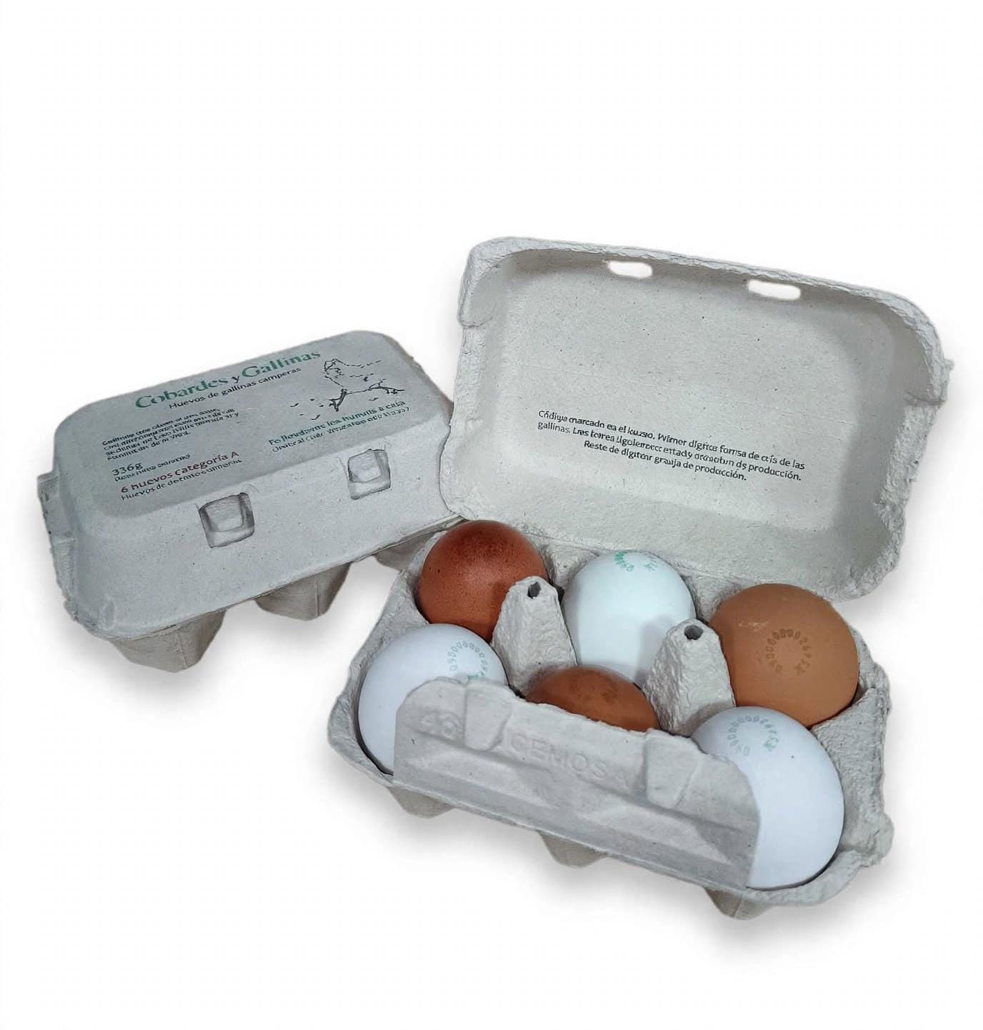 Huevos Cobardes y Gallinas
