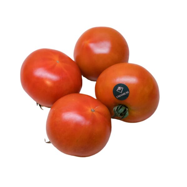 Tomate Umamium